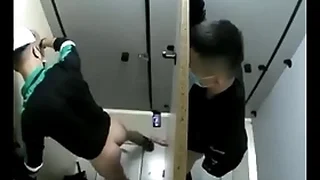 The Gaying 2